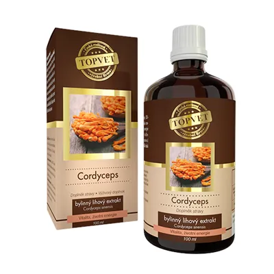 Green idea Cordyceps tinktura - kapky 100 ml vitalita, životní energie