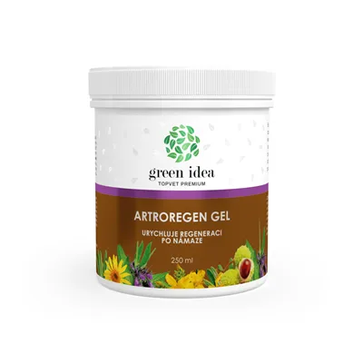 Green idea Artroregen masážní gel 250 ml