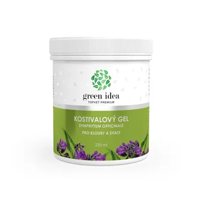 Green idea Kostivalový masážní gel - při bolestech kloubů 250 ml