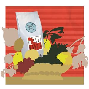 Dolce Vita CARAVAGGIO zrnková káva 1 kg